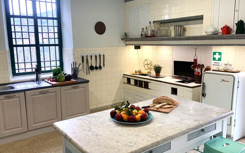 Massarosa Front Lake, The Gargoyles: Kitchen, Countertop, Kitchen Appliance, Cabinetry, Flooring, Kitchen Sink, Interior Design, Furniture, Kitchen Stove, Sink