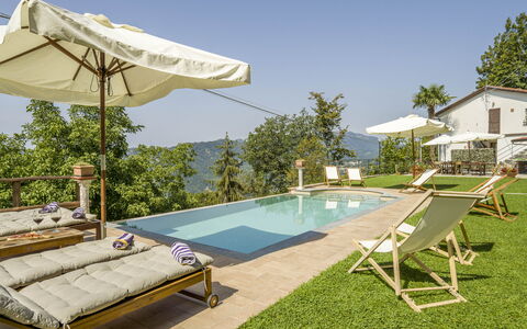 Casa Aurora - Recco, Liguria: Furniture, Plant, Sky, Swimming Pool, Sunlounger, Azure, Shade, Outdoor Furniture, Tree, House