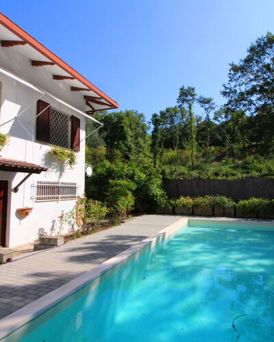 Pupa House: Water, Plant, Sky, Building, Swimming Pool, Azure, Tree, Leisure, Shade, Residential Area