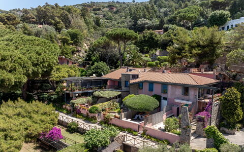 Argentarola House, Porto Santo Stefano, Seaview An: Plant, Property, Plant Community, Sky, Building, Tree, Vegetation, Biome, Natural Landscape, House