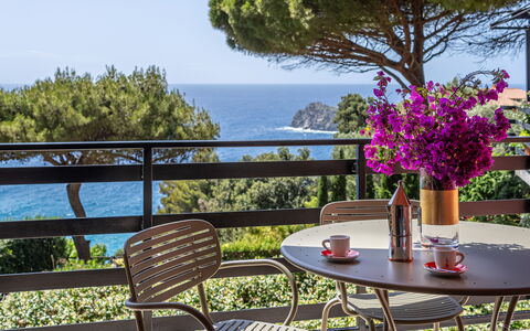 Argentarola House, Porto Santo Stefano, Seaview An: Flower, Plant, Table, Sky, Furniture, Property, Flowerpot, Nature, Chair, Building
