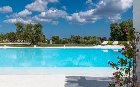 Masseria Isaia: Water, Sky, Cloud, Plant, Property, Swimming Pool, Blue, Azure, Tree, Outdoor Furniture