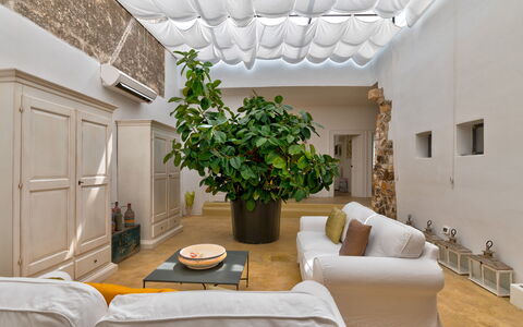 Masseria Isaia: Property, Building, Furniture, Plant, Comfort, Houseplant, Interior Design, Living Room, Wood, Table