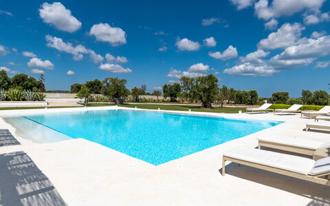Masseria Isaia: Water, Cloud, Sky, Swimming Pool, Azure, Tree, Outdoor Furniture, Shade, Plant, Leisure