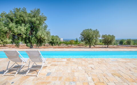 Casa Di Veronica: Water, Sky, Plant, Azure, Tree, Outdoor Furniture, Swimming Pool, Wood, Shade, Rectangle