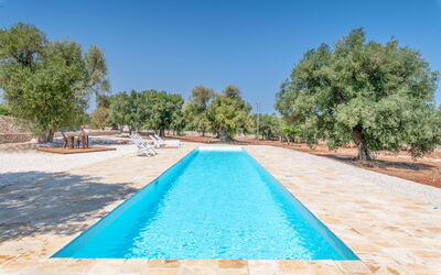 Casa Di Veronica: Water, Sky, Swimming Pool, Azure, Tree, Shade, Body Of Water, Plant, Leisure, Grass