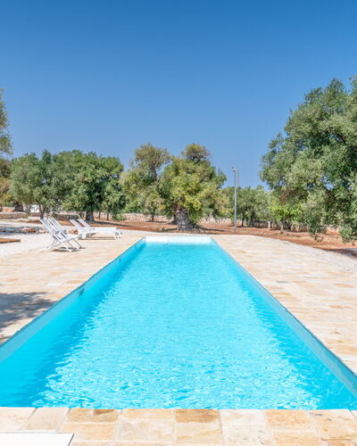 Casa Di Veronica: Water, Sky, Swimming Pool, Azure, Tree, Shade, Body Of Water, Plant, Leisure, Grass