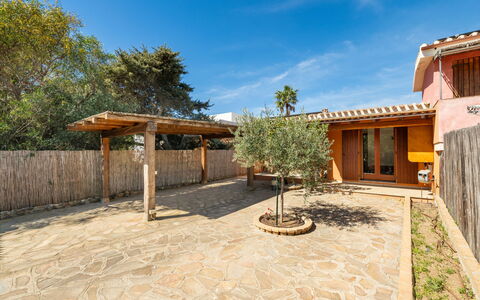 Domus Ema: Sky, Cloud, Plant, Tree, Land Lot, Shade, Building, Cottage, Wood, Leisure