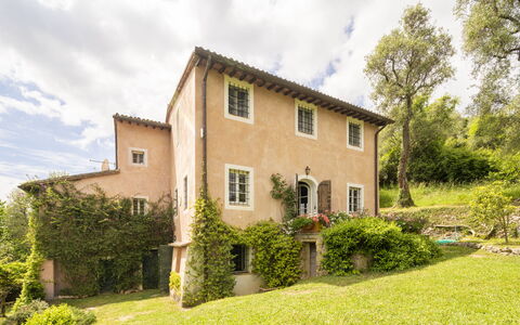 La Casa Dei Limoni, Camaiore, Pet Friendly, Wifi: Tree, Grass, House, Shrub, Home, Rural Area, Cottage, Landscape, Land Lot