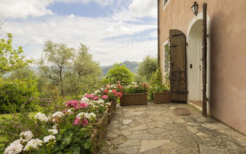 La Casa Dei Limoni, Camaiore, Pet Friendly, Wifi: Shrub, Plant Community, Garden, Flowerpot, Houseplant, Flagstone