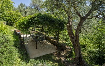 La Casa dei Limoni, Camaiore, Pet Friendly, Wifi - Camaiore, Tuscany, Italy