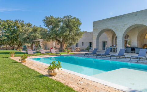 Tenuta Palù: Plant, Water, Sky, Building, Swimming Pool, Tree, Shade, Chair, Grass, Leisure