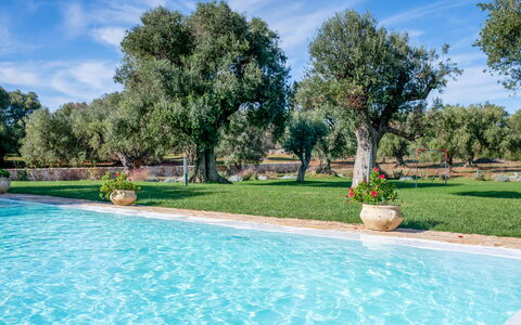 Tenuta Palù: Water, Sky, Plant, Cloud, Tree, Botany, Swimming Pool, Natural Landscape, Grass, Shade
