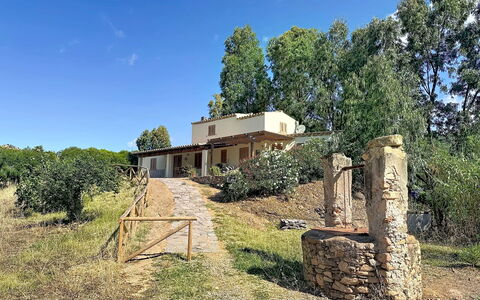 Eucalipto: Tree, Rural Area, Land Lot, Cottage, Estate, Farmhouse, Backyard, Hacienda, Villa