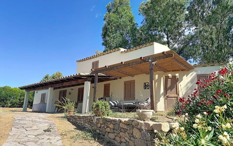 Eucalipto: Home, House, Cottage, Farmhouse, Shade, Estate, Garden, Hacienda, Backyard, Yard
