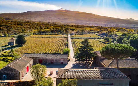 Dimora Vulcano - Castiglione Di Sicilia, Sicilia: Sky, Property, Plant, Cloud, Light, Mountain, Nature, Land Lot, Tree, Natural Landscape