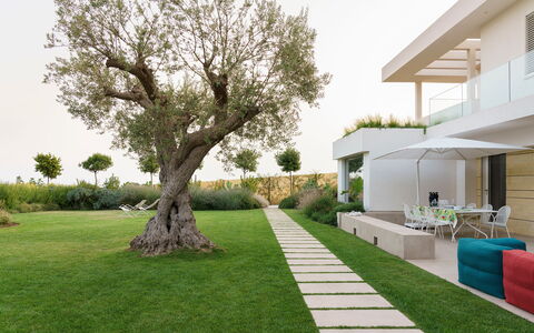 Splendida - Modica, Sicilia: Plant, Sky, Green, Building, Tree, Land Lot, Shade, Urban Design, Grass, House