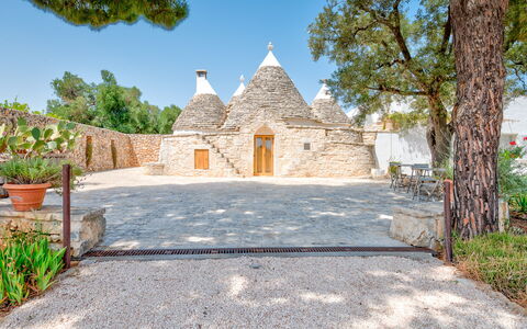 Villa Del Capitolo Con Trullo: Sky, Plant, Flowerpot, Tree, Road Surface, Door, Rural Area, Landscape, Grass, Facade