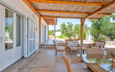 Villa Del Capitolo Con Trullo: Plant, Shade, Wood, Window, Door, Porch, Tree, Beam, Real Estate, Ceiling