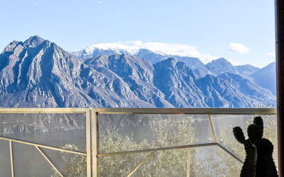 Accommodation:&nbsp;Xino Terrace View 100.2