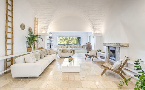 Masseriola Di Puglia: Couch, Plant, Furniture, Houseplant, Interior Design, Floor, Living Room, Table, Picture Frame, Studio Couch