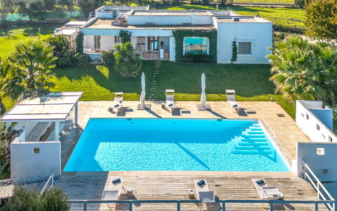 Masseriola Di Puglia: Plant, Building, Window, Green, Azure, Swimming Pool, Water, Architecture, Shade, Tree