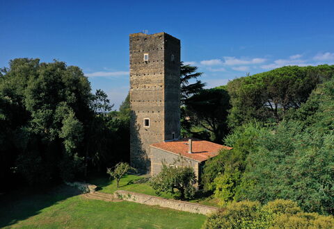 Torre Delle Cornacchie: Sky, Plant, Cloud, Tree, Building, Tower, Natural Landscape, Grass, Landscape, Shrub