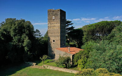 Torre Delle Cornacchie: Sky, Plant, Cloud, Tree, Building, Tower, Natural Landscape, Grass, Landscape, Shrub
