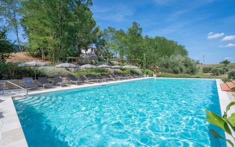 Coratina Spereto Apartment with Pool, Montaione: Water, Plant, Water Resources, Property, Sky, Swimming Pool, Cloud, Azure, Tree, Natural Landscape