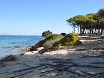 Appartamento Michela In Budoni, Sardegna Vista Mar