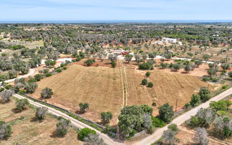 Lamia del Grano: Sky, Plant, Plant Community, Ecoregion, Tree, Land Lot, Cloud, Vegetation, Urban Design, Residential Area