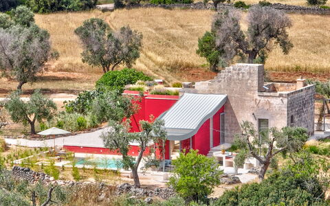 Lamia del Grano: Plant, Plant Community, Building, Window, Tree, Land Lot, Vegetation, Natural Landscape, House, Residential Area