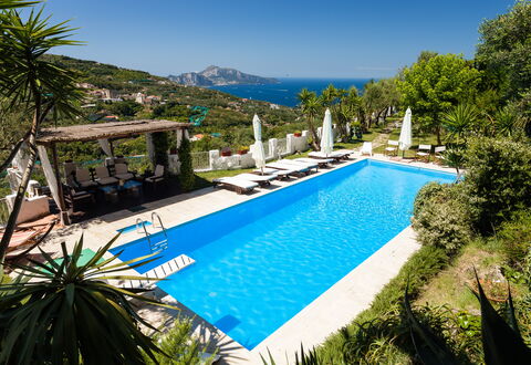 Villa Il Sole Di Sorrento: Water, Plant, Sky, Property, Swimming Pool, Azure, Tree, Botany, Vegetation, Arecales