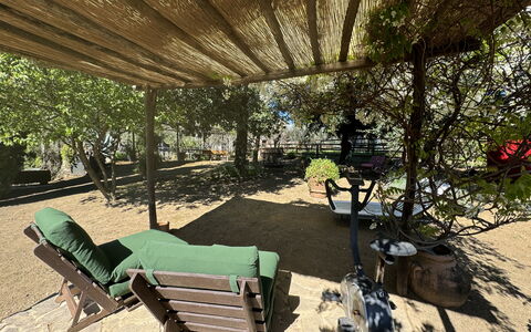 Il Cantuccio: Plant, Nature, Outdoor Bench, Leaf, Shade, Outdoor Furniture, Botany, Biome, Leisure, Tree