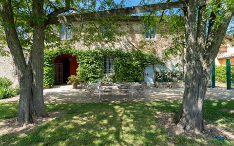 Casa Mirandola: Plant, Tree, Building, Window, Natural Landscape, Land Lot, Vegetation, Shade, Sky, Grass