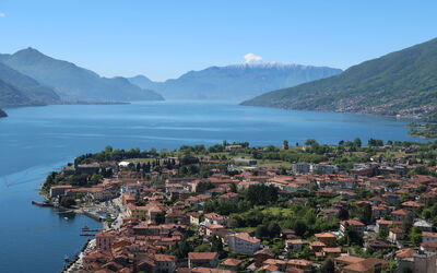 Lisetta