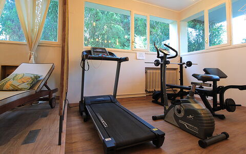 Catullo 18 Apartment, Garda Lake, Jacuzzi, Fitness: Property, Exercise Machine, Window, Wood, Interior Design, Floor, Flooring, Hardwood, Exercise Equipment