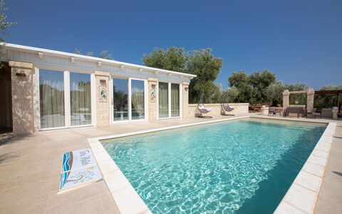 Terra Mater: Blue, Swimming Pool, Composite Material, Estate, Water Feature, Shade, Villa, Resort, Tile