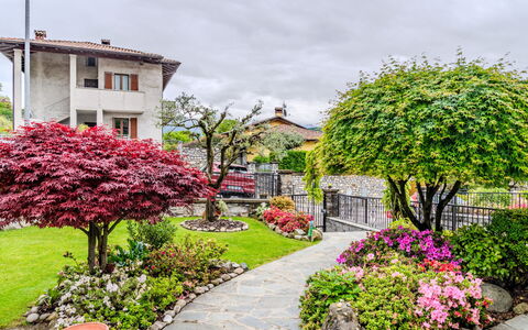 Nonna Grazia: Flower, Plant, Sky, Building, Cloud, Window, Street Light, Botany, House, Grass