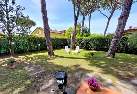 Casa La Pineta: Plant, Property, Sky, Flowerpot, Botany, Tree, Building, Cloud, Grass, Arecales