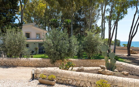 Villa Plemmirio: Plant, Property, Building, Plant Community, Botany, Sky, Tree, House, Vegetation, Land Lot