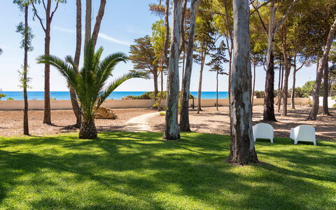 Villa Plemmirio: Sky, Plant, Daytime, Property, Water, Tree, Natural Landscape, Shade, Botany, Wood