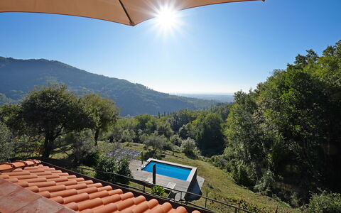 Villa Di Confine: Sky, Plant, Light, Building, Mountain, Tree, Wood, Biome, Shade, Natural Landscape