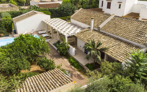 Villa Terrenove: Building, Plant, Window, Botany, Land Lot, Urban Design, Vegetation, Tree, Biome, Roof