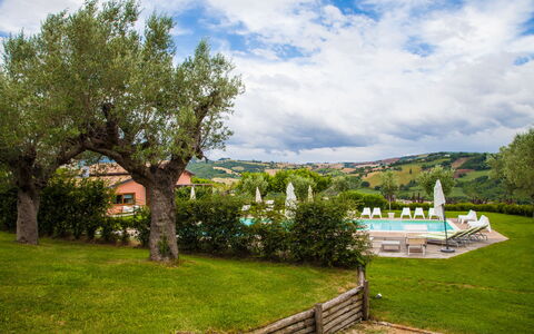 Villa Angelica: Cloud, Sky, Plant, Nature, Natural Landscape, Tree, Vegetation, Land Lot, Grass, Landscape
