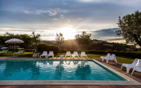 Villa Angelica: Water, Cloud, Plant, Sky, Swimming Pool, Nature, Azure, Tree, Outdoor Furniture, Shade