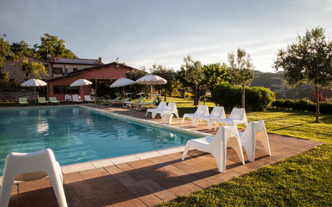 Villa Angelica: Water, Plant, Cloud, Sky, Swimming Pool, Outdoor Furniture, Tree, Sunlounger, Chair, Shade