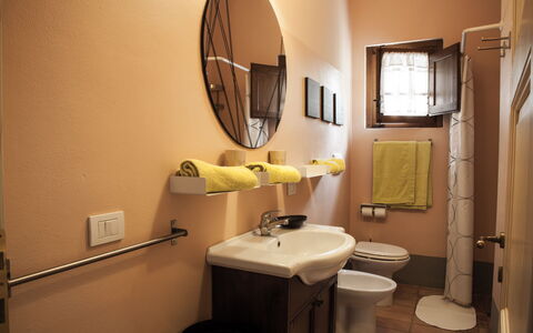 Accommodation:&nbsp;Berenice
