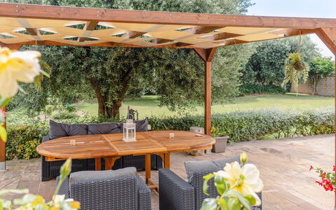 Cyca Holiday Home: Plant, Flower, Table, Property, Furniture, Botany, Outdoor Table, Shade, Outdoor Furniture, Yellow