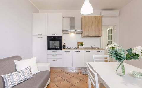 Cyca Holiday Home: Furniture, Flower, Cabinetry, Property, Countertop, Plant, Interior Design, Couch, Kitchen Stove